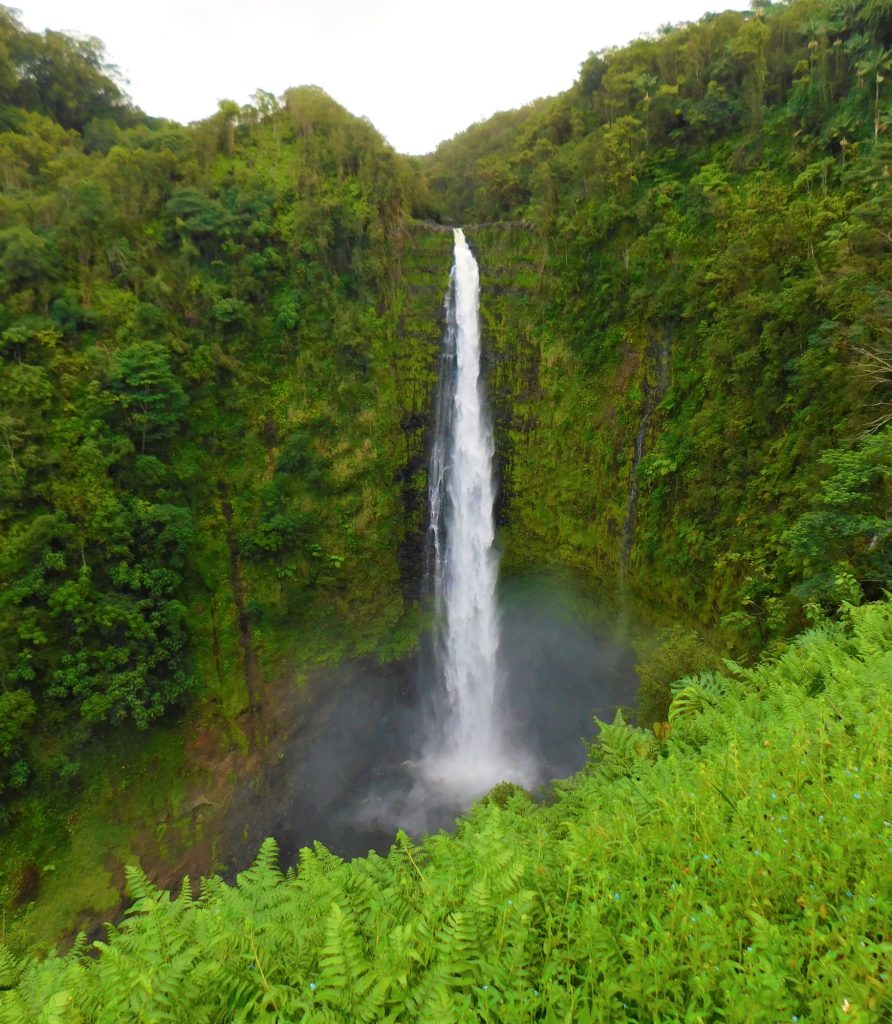 Exotic Landscape! Water Falls in a Tropical Rain Forest! Hawaii! Tropical Vibes! NOMINATED!!